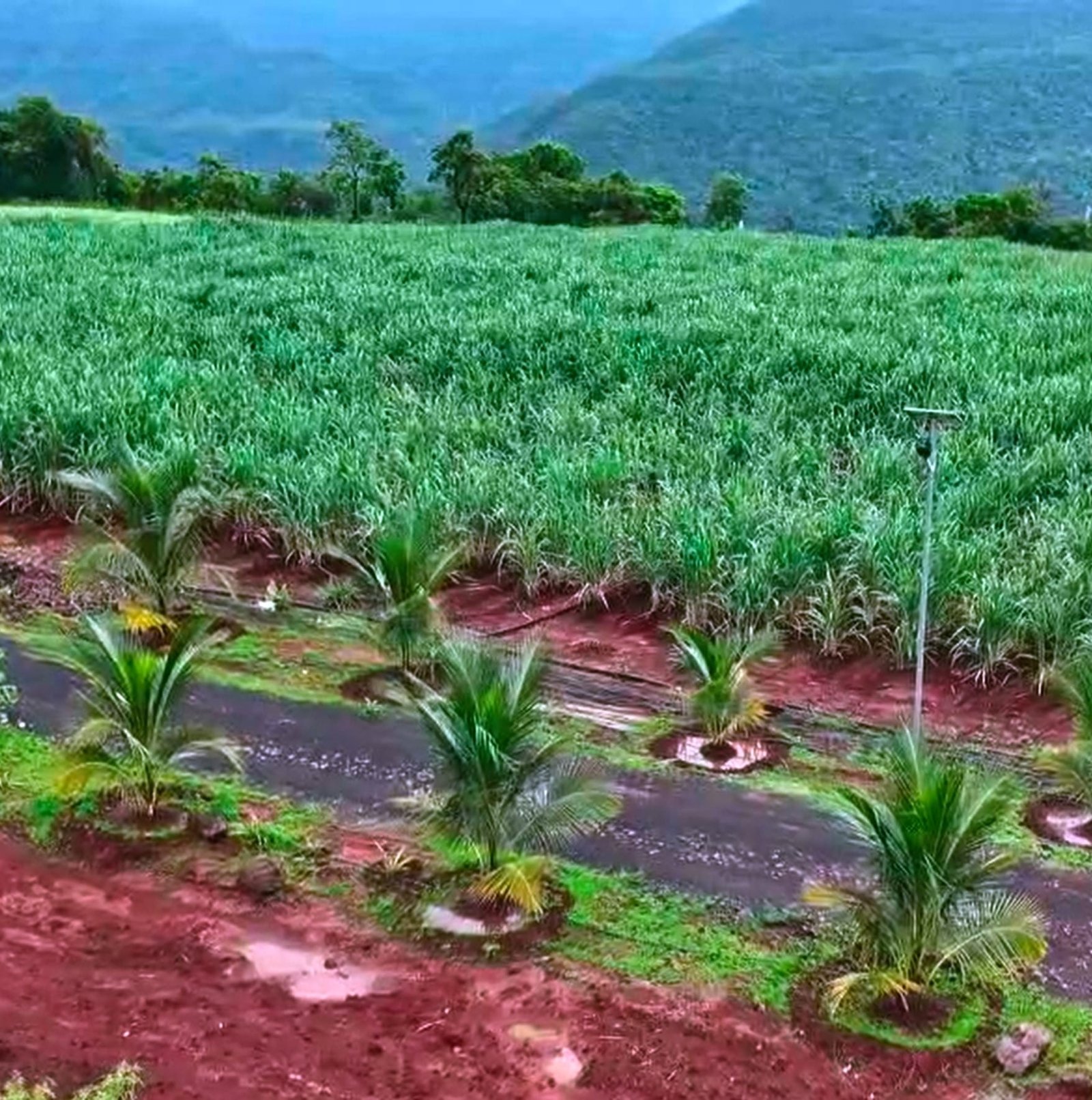 image chiplun image chiplun